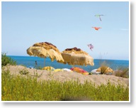 Union Lido Beach - Bolero Holidays